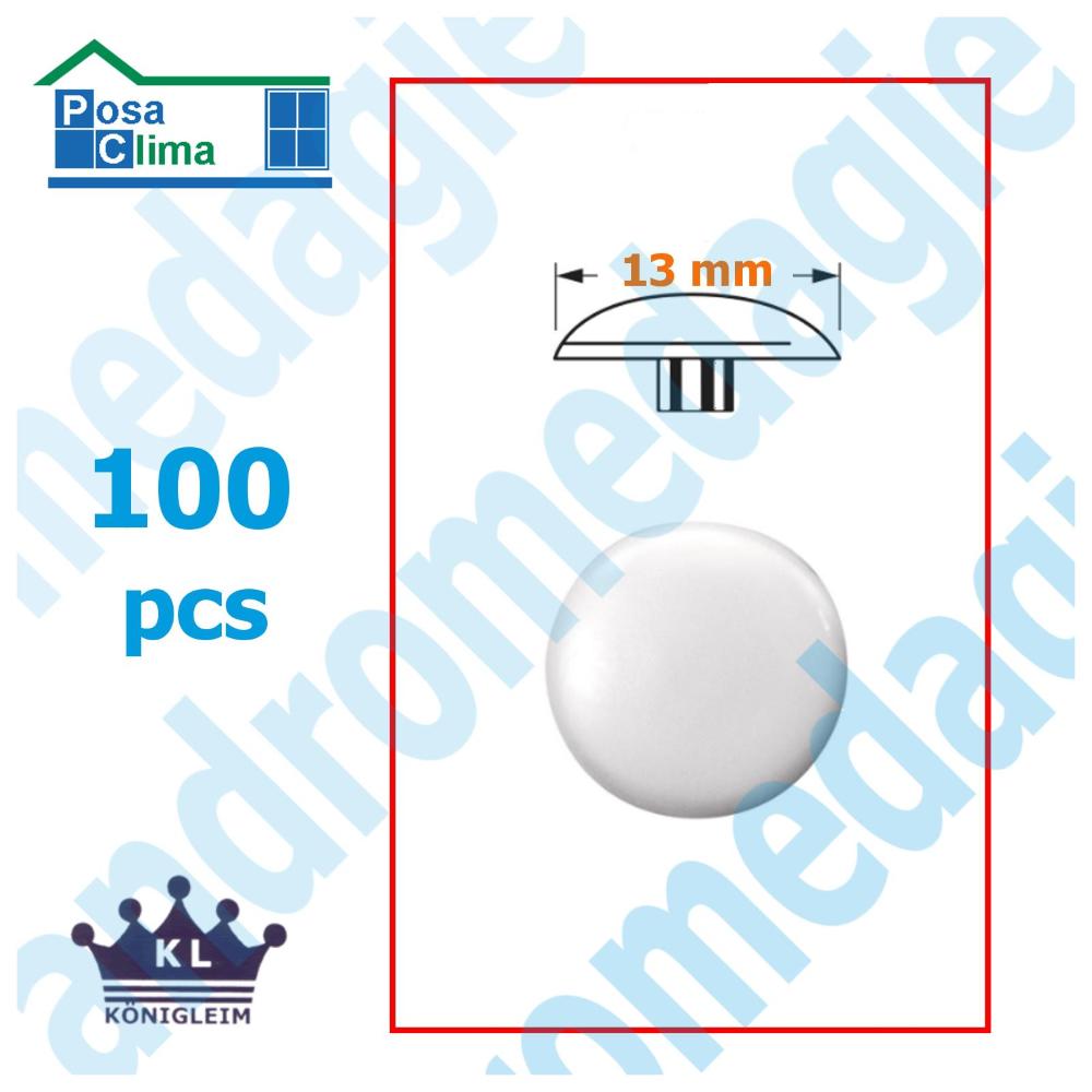 CACHE-VIS T30 BLANC 100 PCS